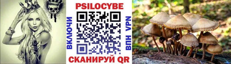гидра сайт  Жуковский  Псилоцибиновые грибы Psilocybine cubensis  магазин   